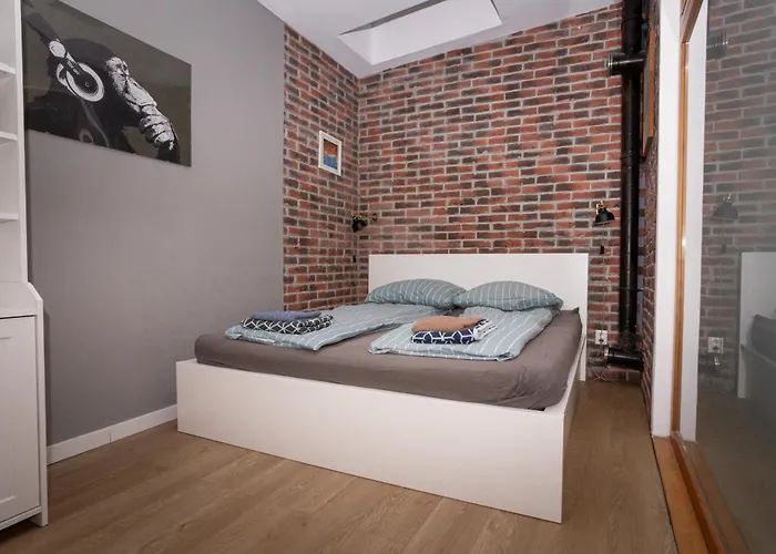 Varady's 1 Bedroom In Historic Center Appartamento *